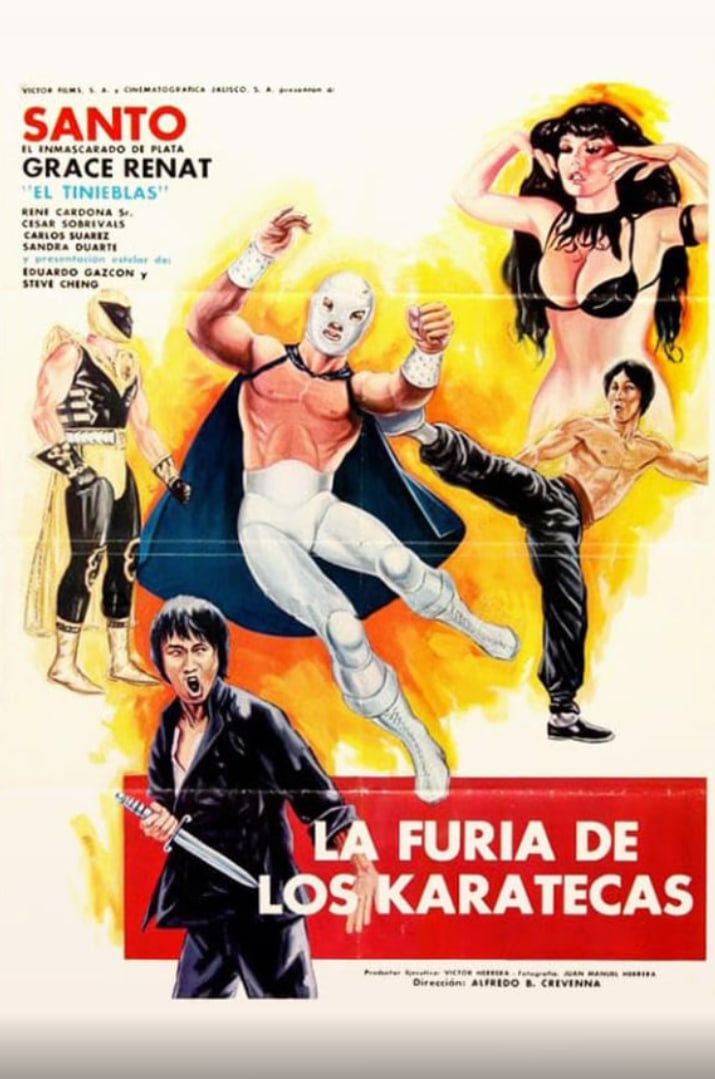 空手道杀手之怒